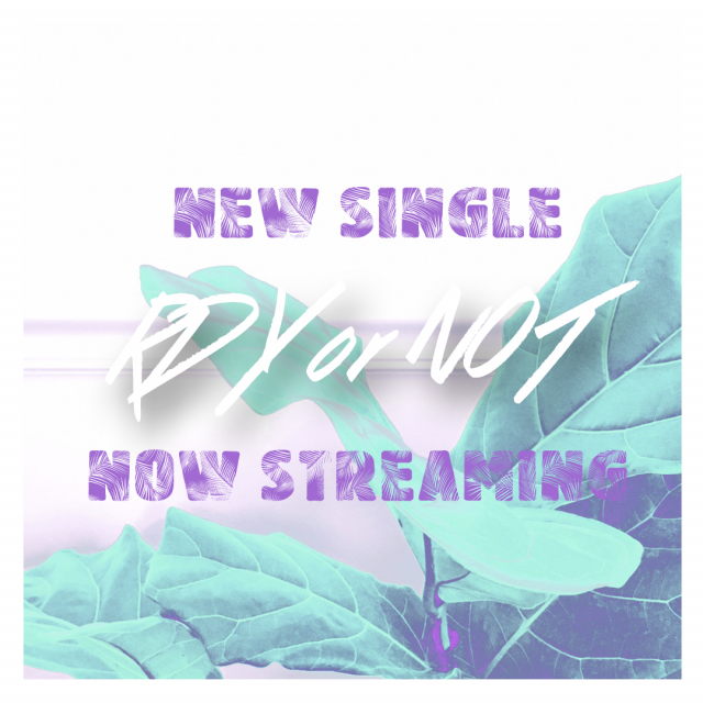 Rdy or Not Now Streaming